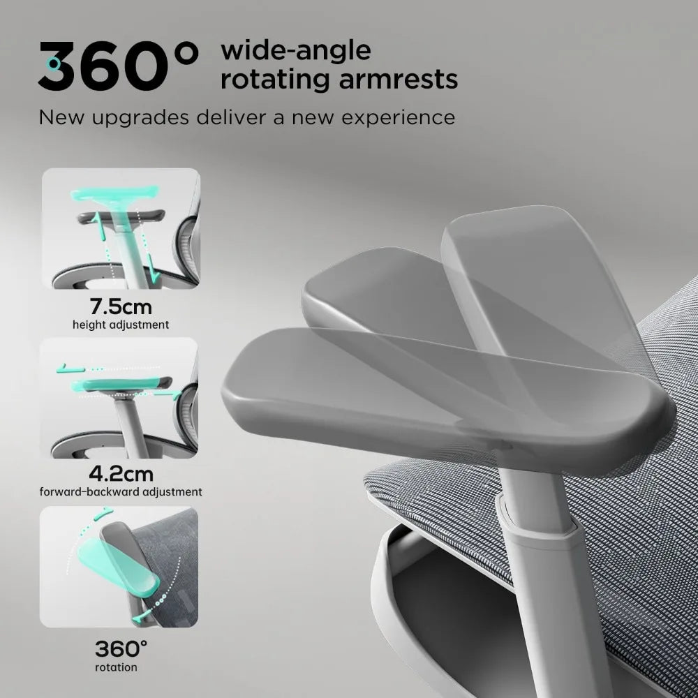 3D Lumbar Support Office Chair